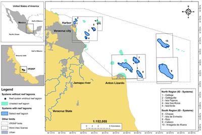 Landscape configuration in seagrass meadows and its influence on carbon stock in reef lagoon systems